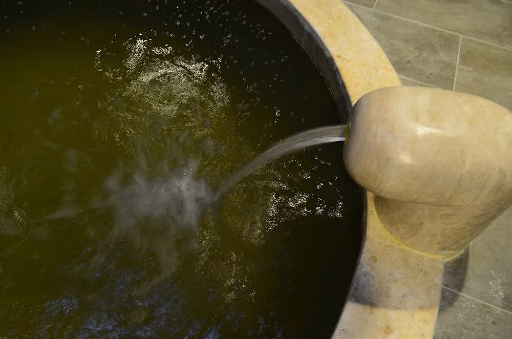 Doga Thermal Health & Spa Hotel Denizli